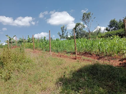 Land for sale in Banana, Muchatha and Banana