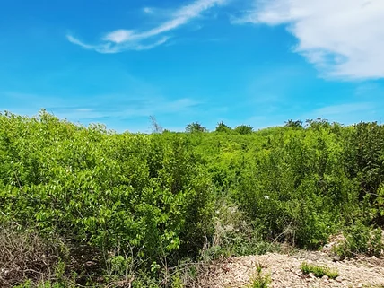 Land for sale in Watamu, Kilifi County