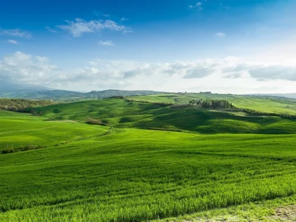 Land for sale in Limuru Town, Limuru
