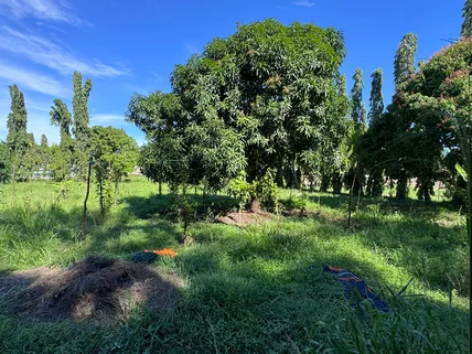 Land for sale in Mtwapa, Kilifi County