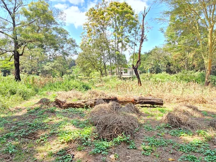 Residential Land for sale in Spring Valley, Westlands