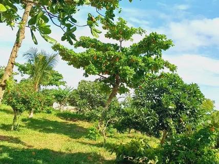 Land for sale in Vipingo, Kilifi County