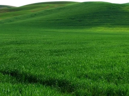 Land for sale in Upper Hill, Nairobi