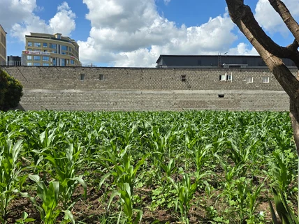 Land for sale in Ruiru, Kiambu County
