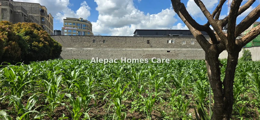 Land for sale in Ruiru