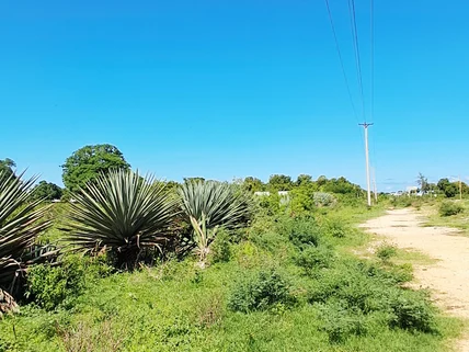 Land for sale in Vipingo, Kilifi County
