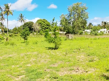 Thumbnail 16