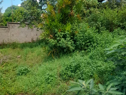 Land for sale in Murang'a County