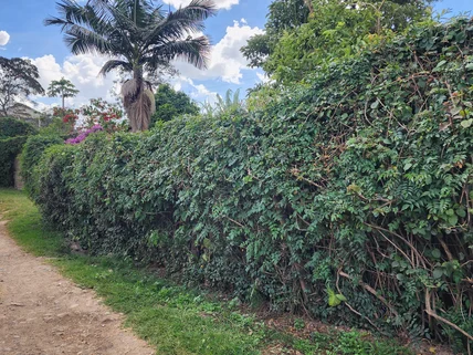 Residential Land for sale in Ongata Rongai, Kajiado County