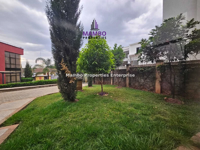 Thumbnail 19