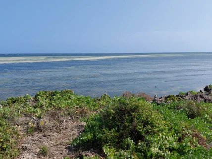 Residential Land for sale in Watamu, Kilifi County