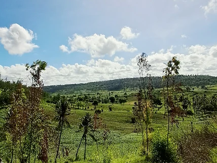 Land for sale in Vipingo, Kilifi County