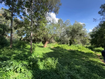 Land for sale in Lake View, Westlands