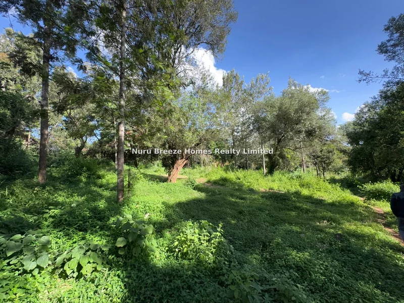 Land for sale in Lake View