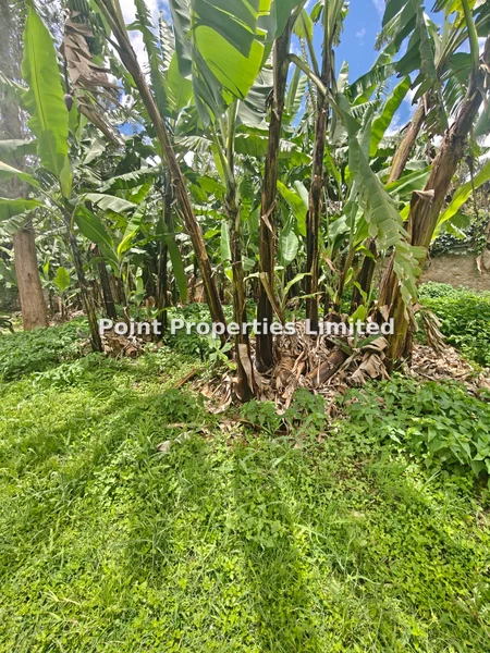 Land for sale in Garden Estate