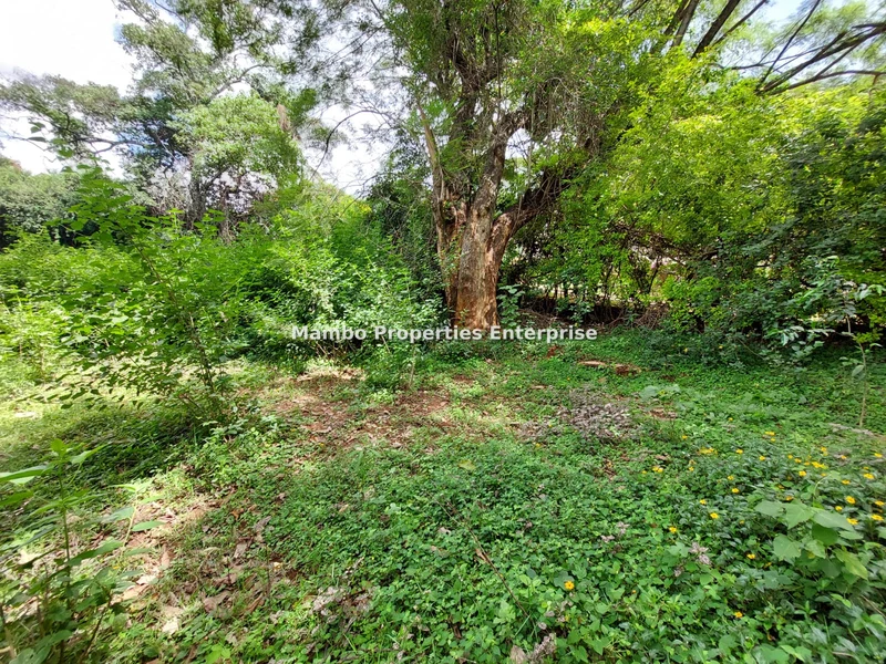 Residential Land for sale in Runda