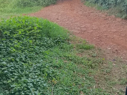 Land for sale in Ngong, Kajiado County