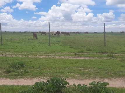 Residential Land for sale in Kitengela, Kajiado County