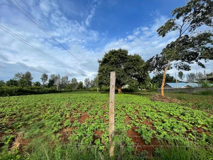 Residential Land for sale in Nyeri