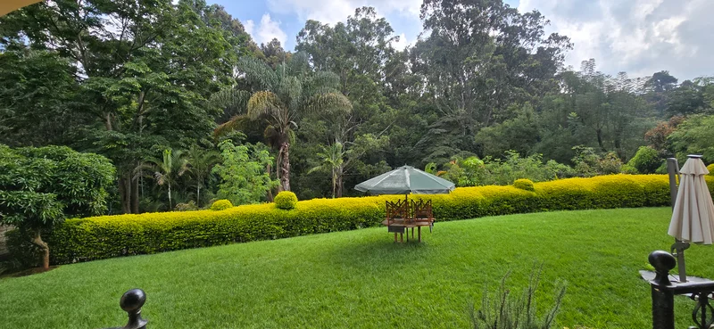 Modern 3-bed apartment to let on Peponi