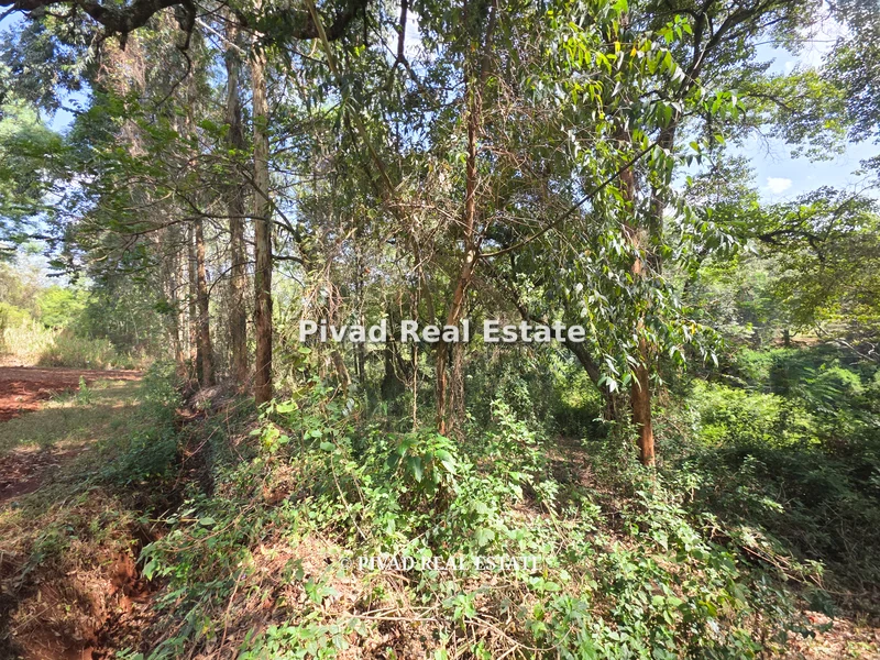 Land for sale in Kitisuru