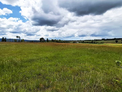 Land for sale in Nyandarua County