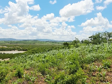 Land for sale in Mtwapa, Kilifi County