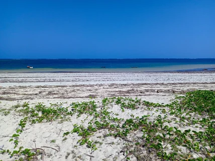 Land for sale in Diani, Kwale County