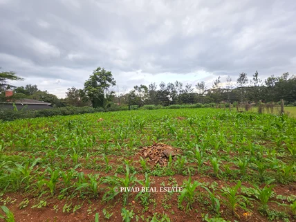 Land for sale in Ridgeways, Nairobi