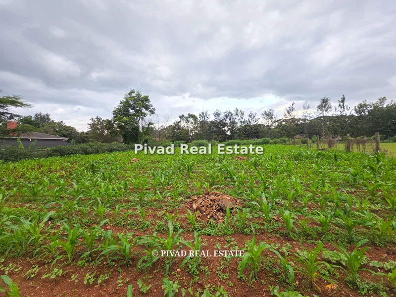 Land for sale in Ridgeways
