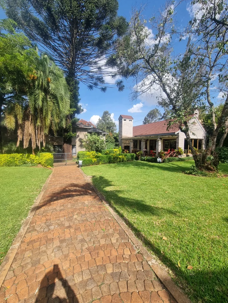 apartments to let