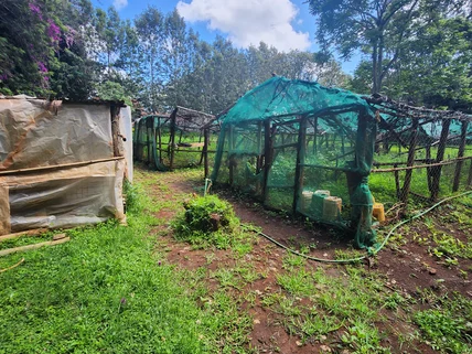 Commercial Property for rent in Karen, Nairobi
