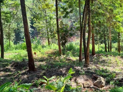 Land for sale in Kitisuru, Westlands