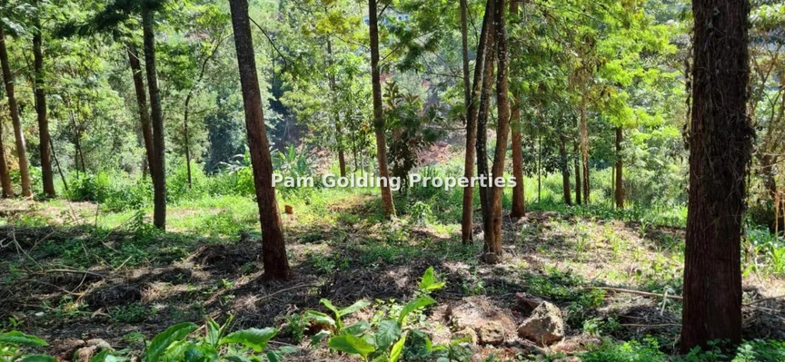 Land for sale in Kitisuru