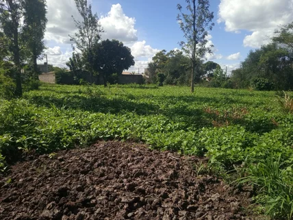 Land for sale in Kamakis, Ruiru