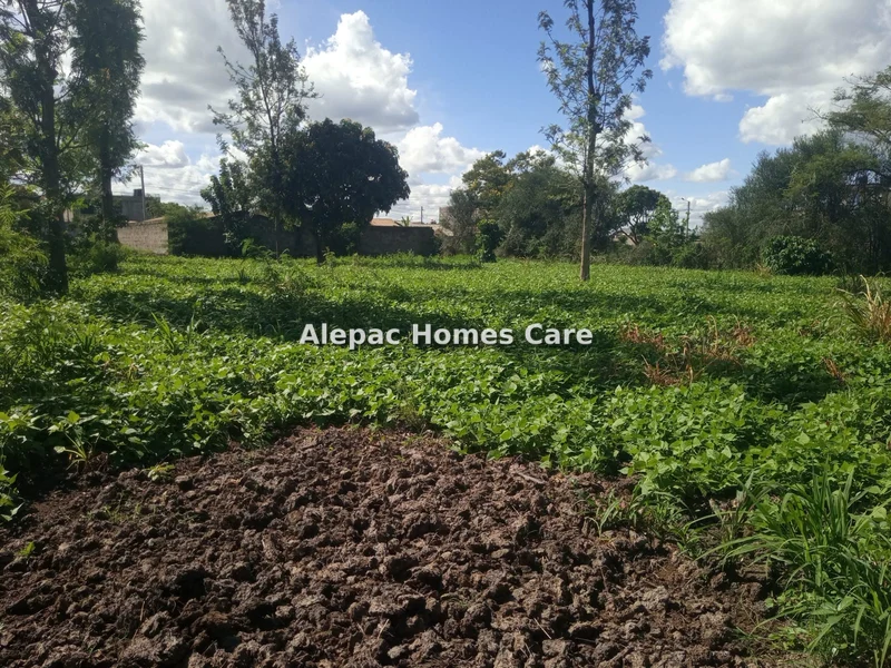 Land for sale in Kamakis
