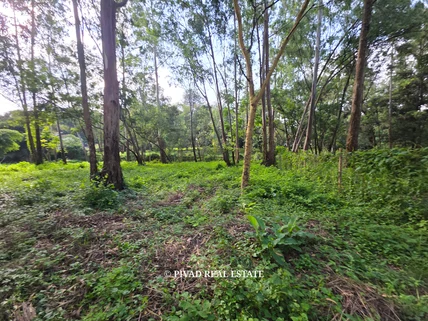 Land for sale in Lake View, Westlands