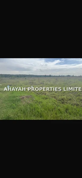 Land for sale in Karen