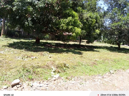 Land for sale in Nyeri