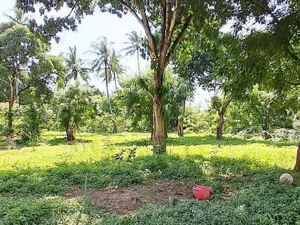 Land for sale in Mtwapa, Kilifi County