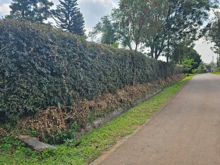 Residential Land for sale in Garden Estate, Roysambu