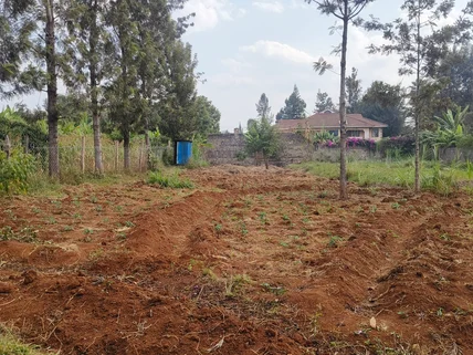 Residential Land for sale in Garden Estate, Roysambu