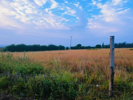 Land for sale in Nyeri