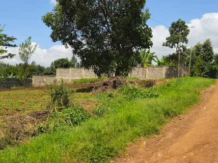 Land for sale in Thome, Roysambu