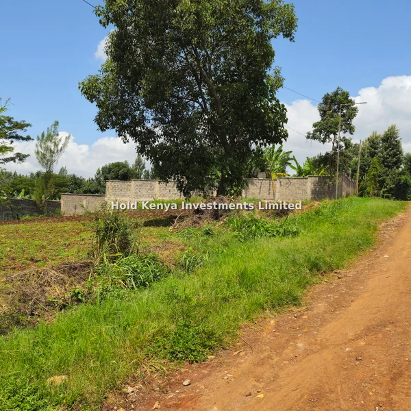 Land for sale in Thome