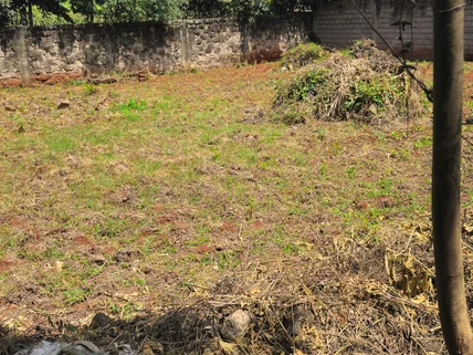 Land for sale in Thome, Roysambu