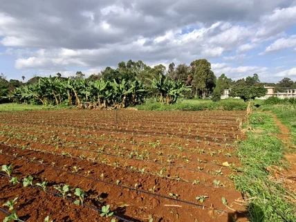Residential Land for sale in Karen, Nairobi