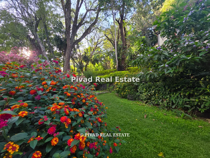 Land for sale in Muthaiga