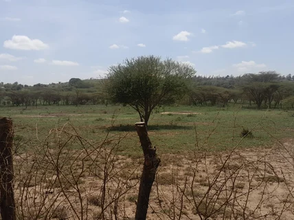 Land for sale in Ongata Rongai, Kajiado County