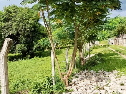 Land for sale in Mtwapa, Kilifi County